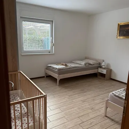 Loginn Vic Liubliana